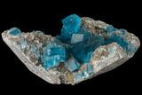 Vibrant Blue Cubic Fluorite on Quartz - China #120295-1
